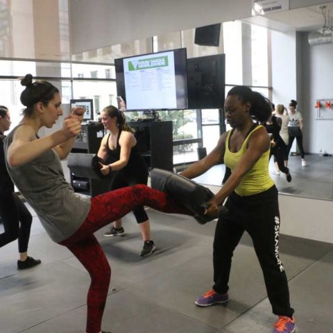 Women training Krav Maga kicks